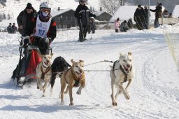 Lenk 2012 SM